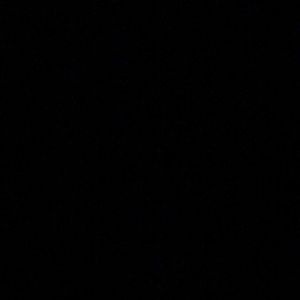 Meet your Posher, Dante